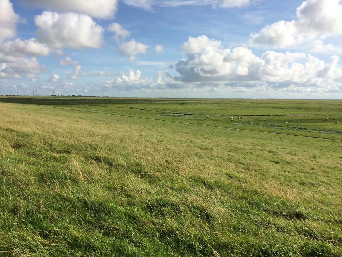 Landhaus Nordsee-Peerhuus Friedrichskoog Buitenkant foto